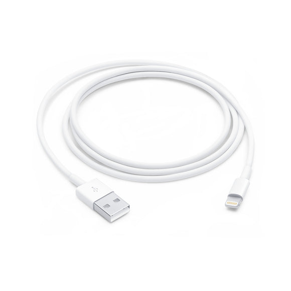 Apple Lightning to USB Cable (1-meter)