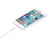 Apple Lightning to USB Cable (1-meter)