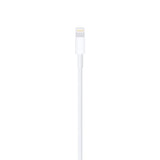 Apple Lightning to USB Cable (1-meter)