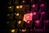 SteelSeries Apex 3 TKL RGB Tenkeyless Gaming Keyboard
