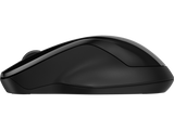 HP 250 Wireless Dual Mouse